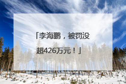 李海鹏，被罚没超426万元！