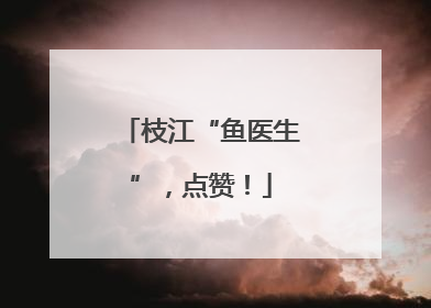 枝江“鱼医生”，点赞！