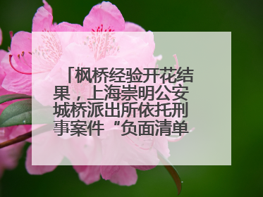 枫桥经验开花结果，上海崇明公安城桥派出所依托刑事案件“负面清单”强化派出所“主防”