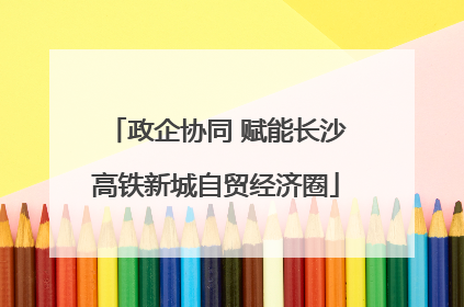 政企协同 赋能长沙高铁新城自贸经济圈