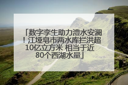 数字孪生助力澧水安澜！江垭皂市两水库拦洪超10亿立方米 相当于近80个西湖水量