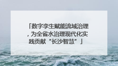 数字孪生赋能流域治理，为全省水治理现代化实践贡献“长沙智慧”