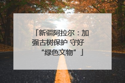 新疆阿拉尔：加强古树保护 守好“绿色文物”