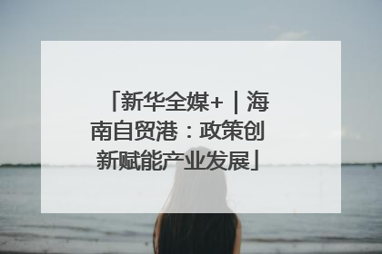 新华全媒+｜海南自贸港：政策创新赋能产业发展