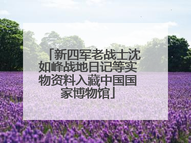 新四军老战士沈如峰战地日记等实物资料入藏中国国家博物馆