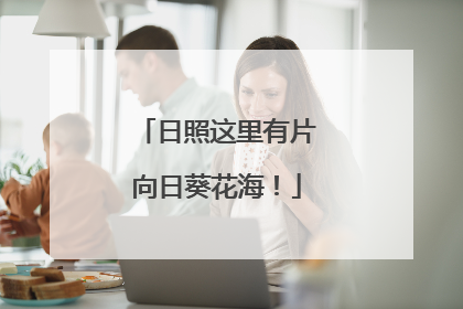 日照这里有片向日葵花海！