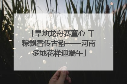 旱地龙舟赛童心 千粽飘香传古韵——河南多地花样迎端午