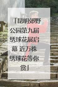 昆明郊野公园第九届绣球花展启幕 近万株绣球花等你赏