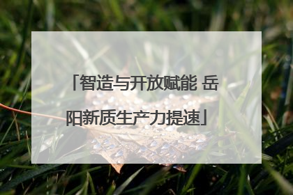 智造与开放赋能 岳阳新质生产力提速