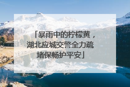 暴雨中的柠檬黄，湖北应城交警全力疏堵保畅护平安