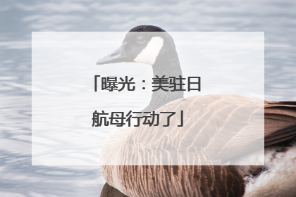 曝光：美驻日航母行动了