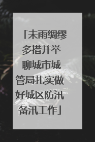 未雨绸缪 多措并举 聊城市城管局扎实做好城区防汛备汛工作