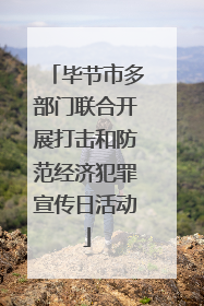 毕节市多部门联合开展打击和防范经济犯罪宣传日活动