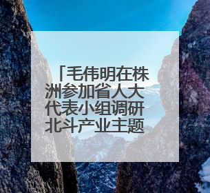 毛伟明在株洲参加省人大代表小组调研北斗产业主题活动