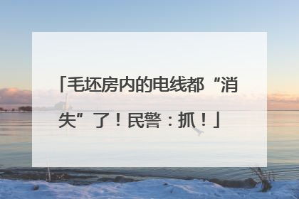 毛坯房内的电线都“消失”了！民警：抓！