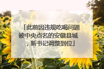 此前因违规吃喝问题被中央点名的安徽县城，新书记调整到位
