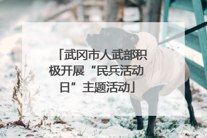 武冈市人武部积极开展“民兵活动日”主题活动
