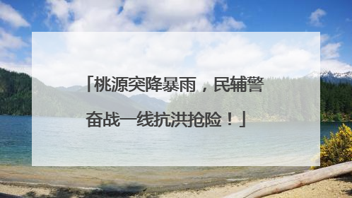 桃源突降暴雨，民辅警奋战一线抗洪抢险！