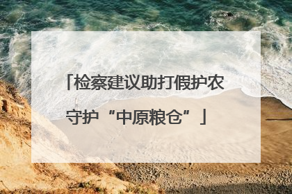 检察建议助打假护农守护“中原粮仓”