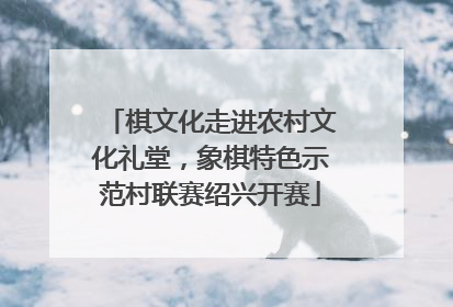 棋文化走进农村文化礼堂，象棋特色示范村联赛绍兴开赛