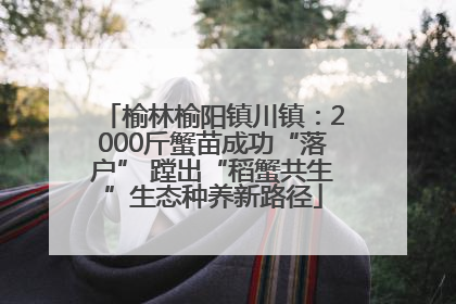 榆林榆阳镇川镇：2000斤蟹苗成功“落户” 蹚出“稻蟹共生”生态种养新路径