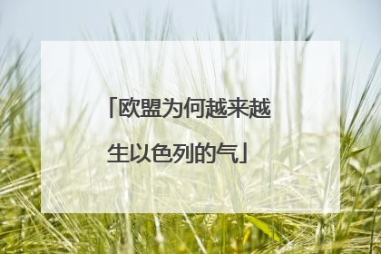 欧盟为何越来越生以色列的气