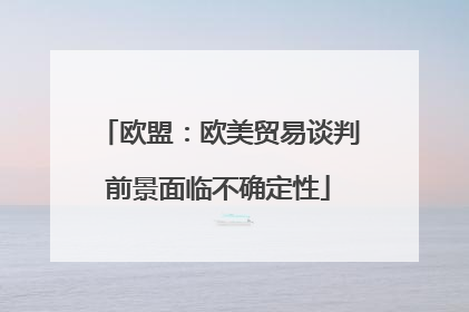 欧盟：欧美贸易谈判前景面临不确定性
