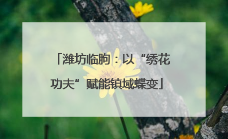 潍坊临朐：以“绣花功夫”赋能镇域蝶变