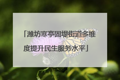 潍坊寒亭固堤街道多维度提升民生服务水平