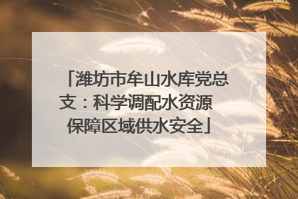 潍坊市牟山水库党总支：科学调配水资源 保障区域供水安全