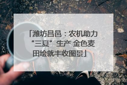 潍坊昌邑：农机助力“三夏”生产 金色麦田绘就丰收图景