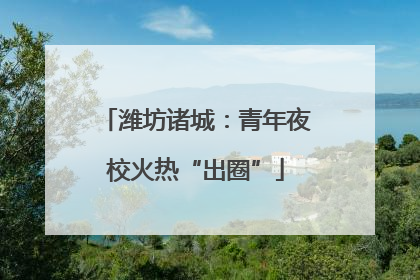 潍坊诸城：青年夜校火热“出圈”
