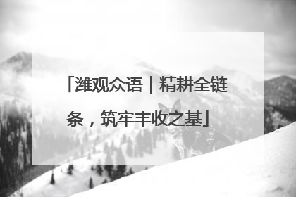 潍观众语｜精耕全链条，筑牢丰收之基
