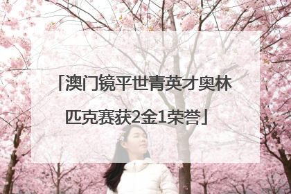 澳门镜平世青英才奥林匹克赛获2金1荣誉