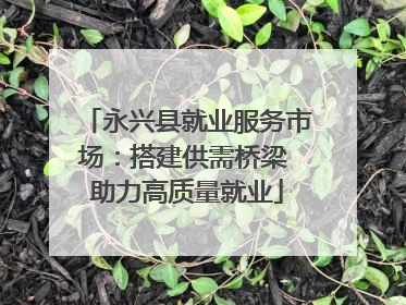 永兴县就业服务市场：搭建供需桥梁 助力高质量就业