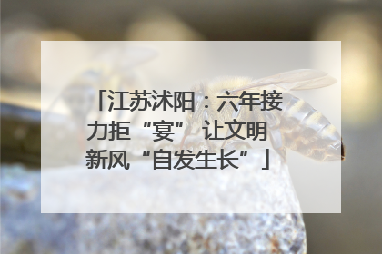 江苏沭阳：六年接力拒“宴” 让文明新风“自发生长”