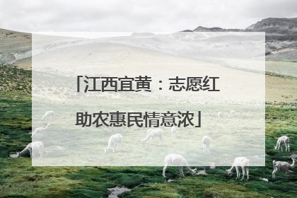 江西宜黄：志愿红助农惠民情意浓