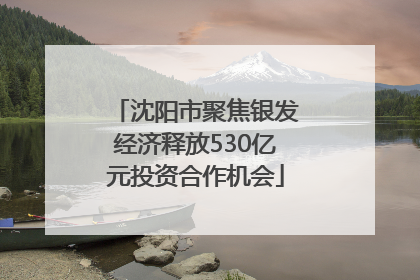 沈阳市聚焦银发经济释放530亿元投资合作机会