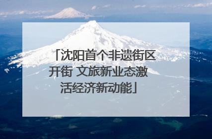 沈阳首个非遗街区开街 文旅新业态激活经济新动能