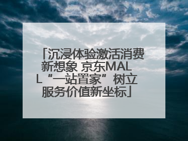 沉浸体验激活消费新想象 京东MALL“一站置家”树立服务价值新坐标