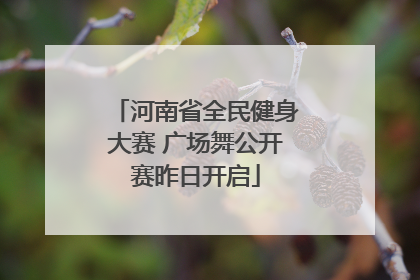 河南省全民健身大赛 广场舞公开赛昨日开启