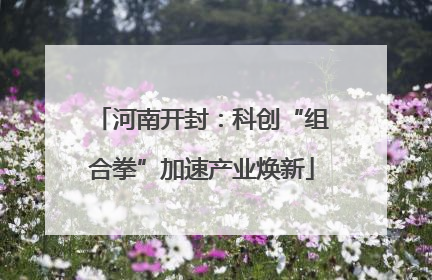 河南开封：科创“组合拳”加速产业焕新