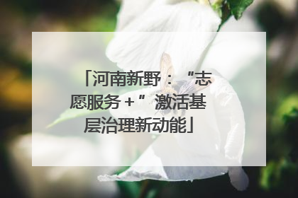 河南新野：“志愿服务＋”激活基层治理新动能