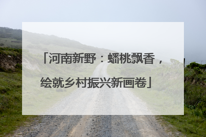 河南新野：蟠桃飘香，绘就乡村振兴新画卷