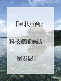 河北芦台：科技赋能高质量发展