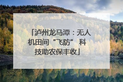 泸州龙马潭：无人机田间“飞防” 科技助农保丰收