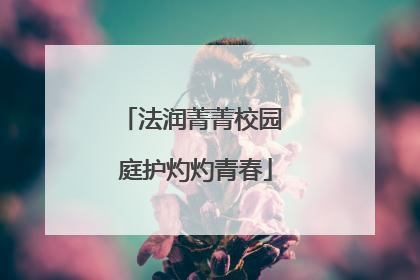 法润菁菁校园 庭护灼灼青春