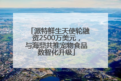 派特鲜生天使轮融资2500万美元，与海鼎共推宠物食品数智化升级