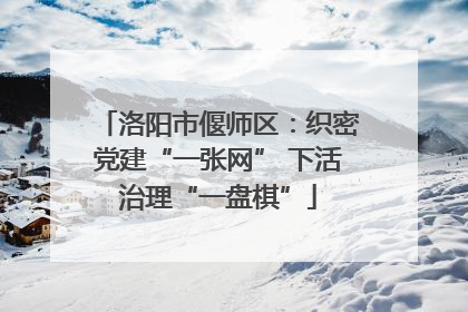 洛阳市偃师区：织密党建“一张网” 下活治理“一盘棋”