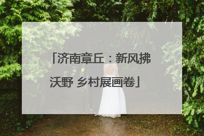 济南章丘：新风拂沃野 乡村展画卷